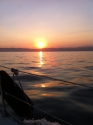 0_4958560_349675.jpg